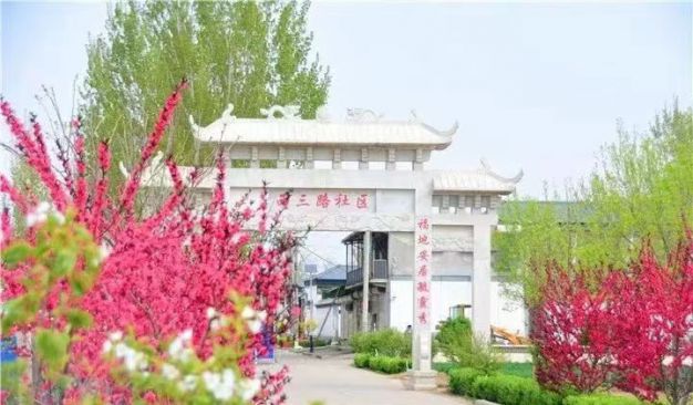 探索党建&ldquo;1+2+3&rdquo;治理模式